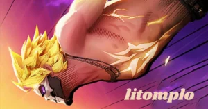 litomplo