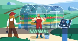 aavmaal