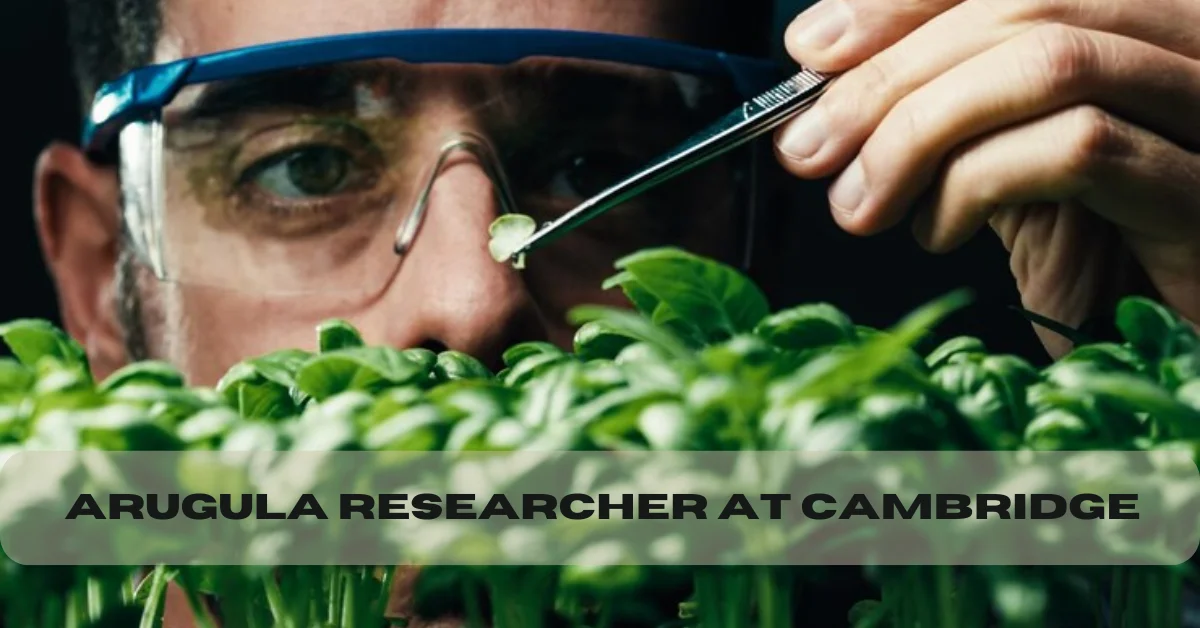 arugula researcher at Cambridge