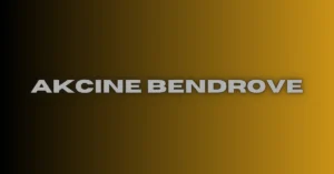 akcine bendrove