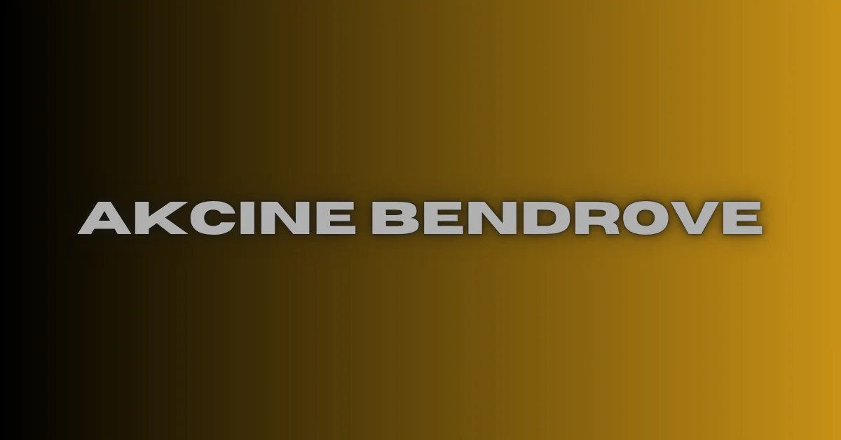 akcine bendrove