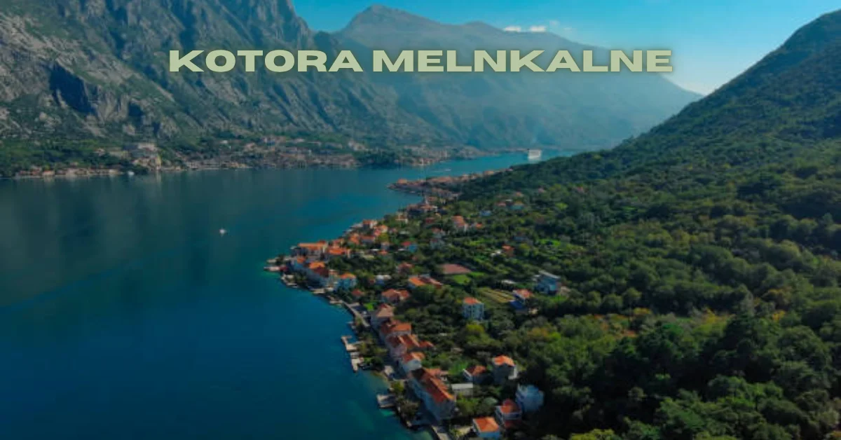 kotora melnkalne
