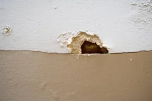 cracks and leaks in property