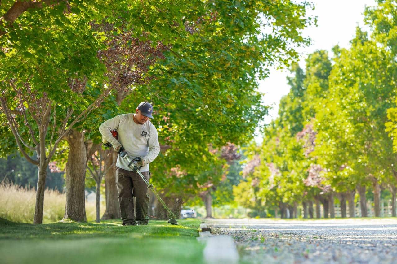Landscape Maintenance