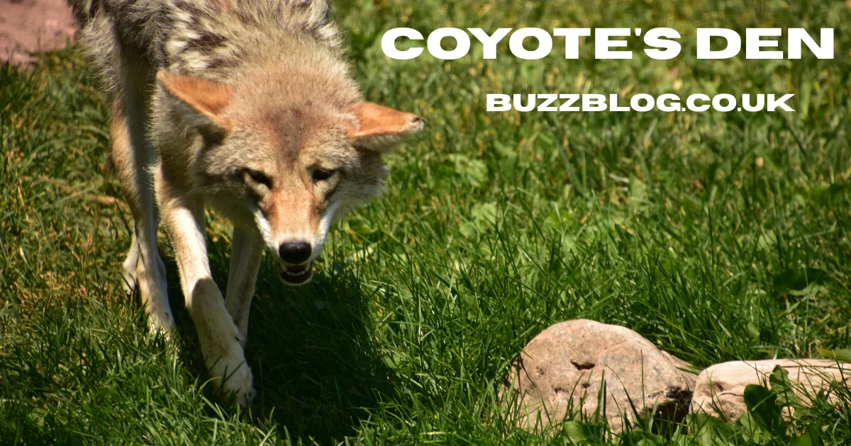 coyote's den