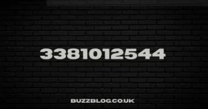 3381012544