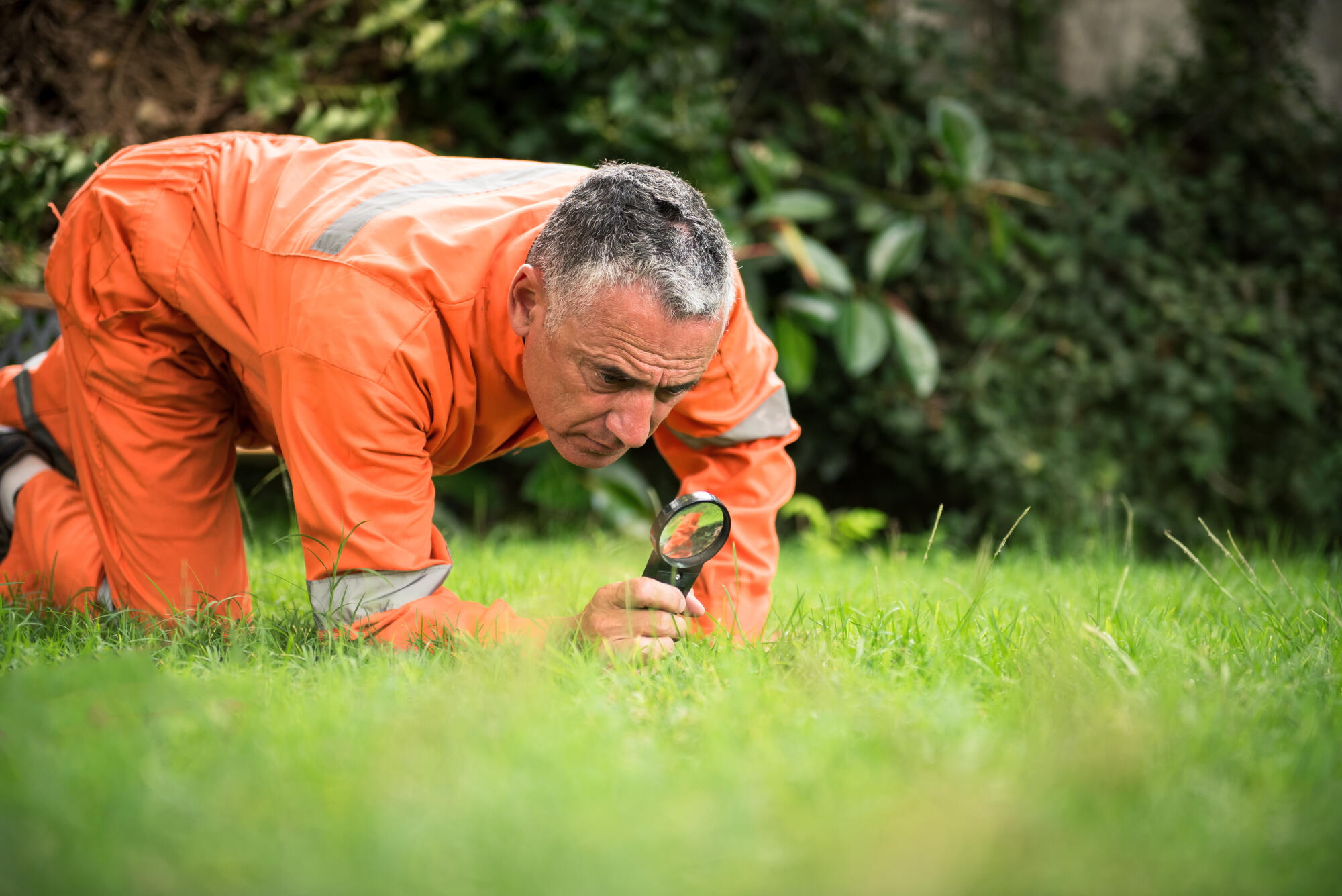 How Professional Pest Services Keep Your Property Safe
