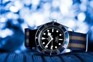 Tudor watches