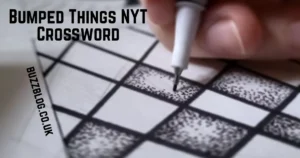 Bumped Things NYT Crossword