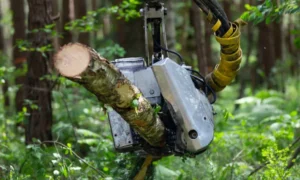 Laser Tree Cutting Machine