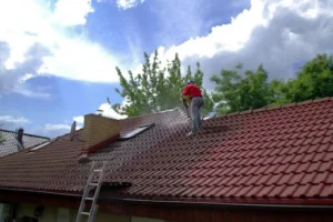 Roof Cleaning Services