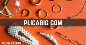 plicabig com