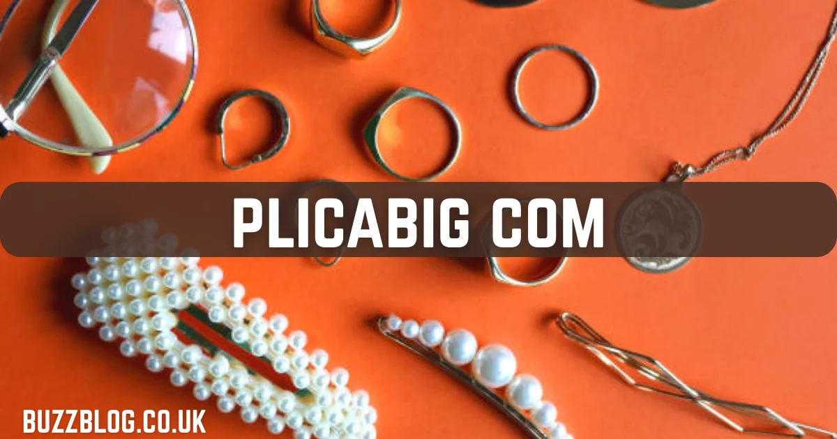 plicabig com
