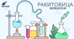 ракитовица