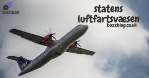 statens luftfartsvæsen