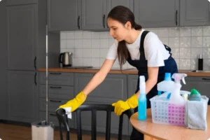 Professional Domestic Cleaning