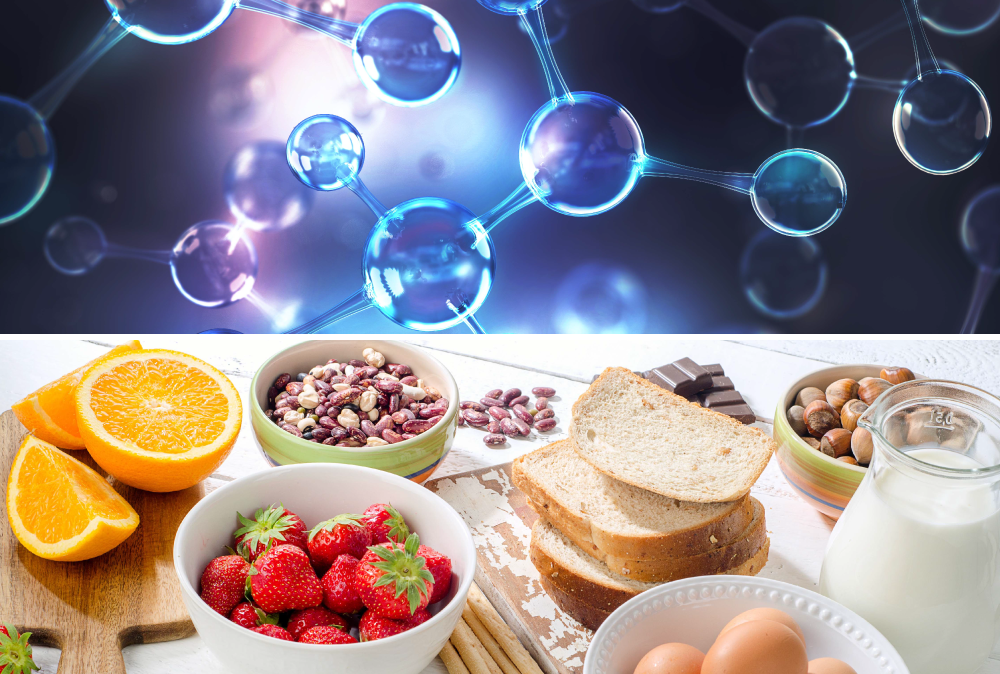 Food Sensitivity Test