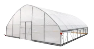 Commercial Tunnel Greenhouse