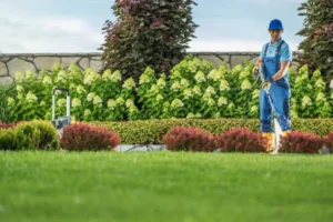 Professional commercial lawn care