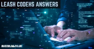 leash codehs answers