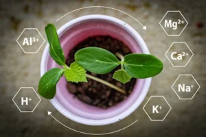 Balanced Plant Nutrition